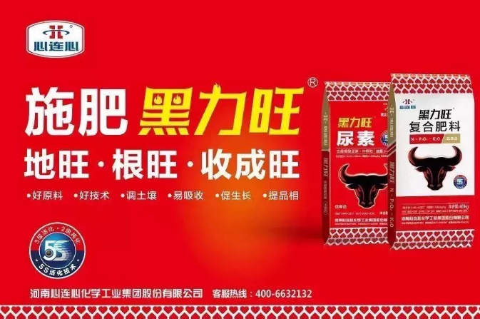 1557533579195536.png image.png