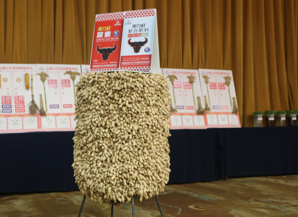 1573437569282245.png image.png