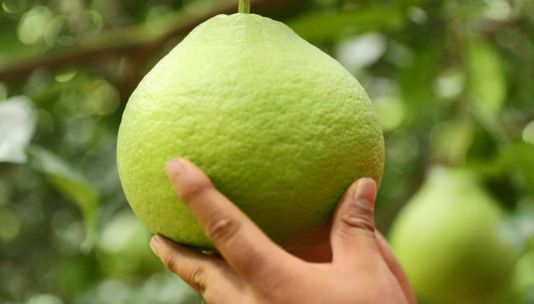 1602836001739132.png image.png