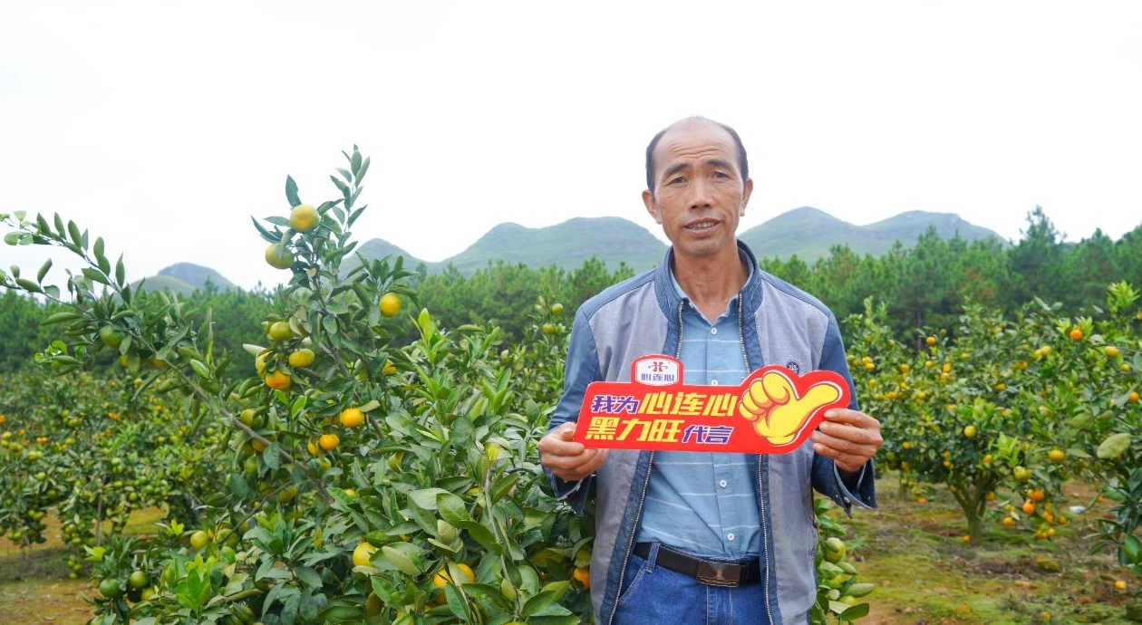 1602836985554167.png image.png