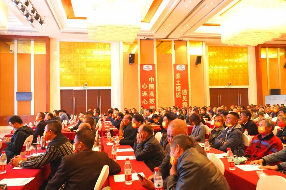 1636071452697657.png image.png