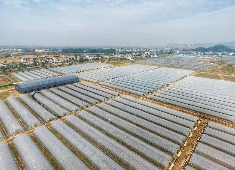 1638772921939779.png image.png