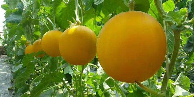 1653729817465372.png image.png