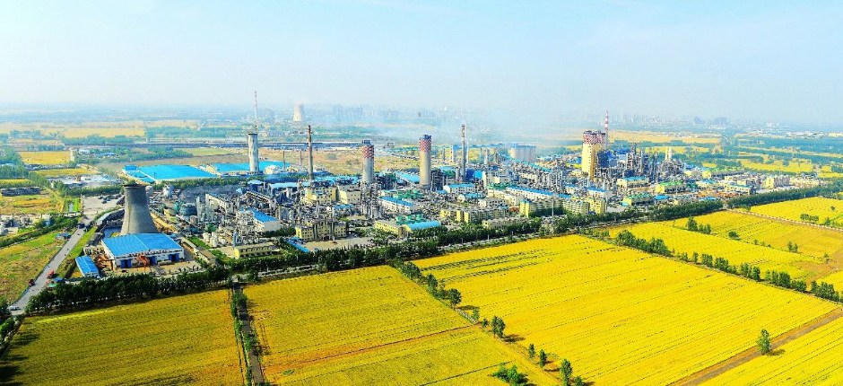 1671076470934082.png image.png