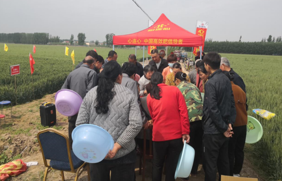 1686274273843244.png image.png