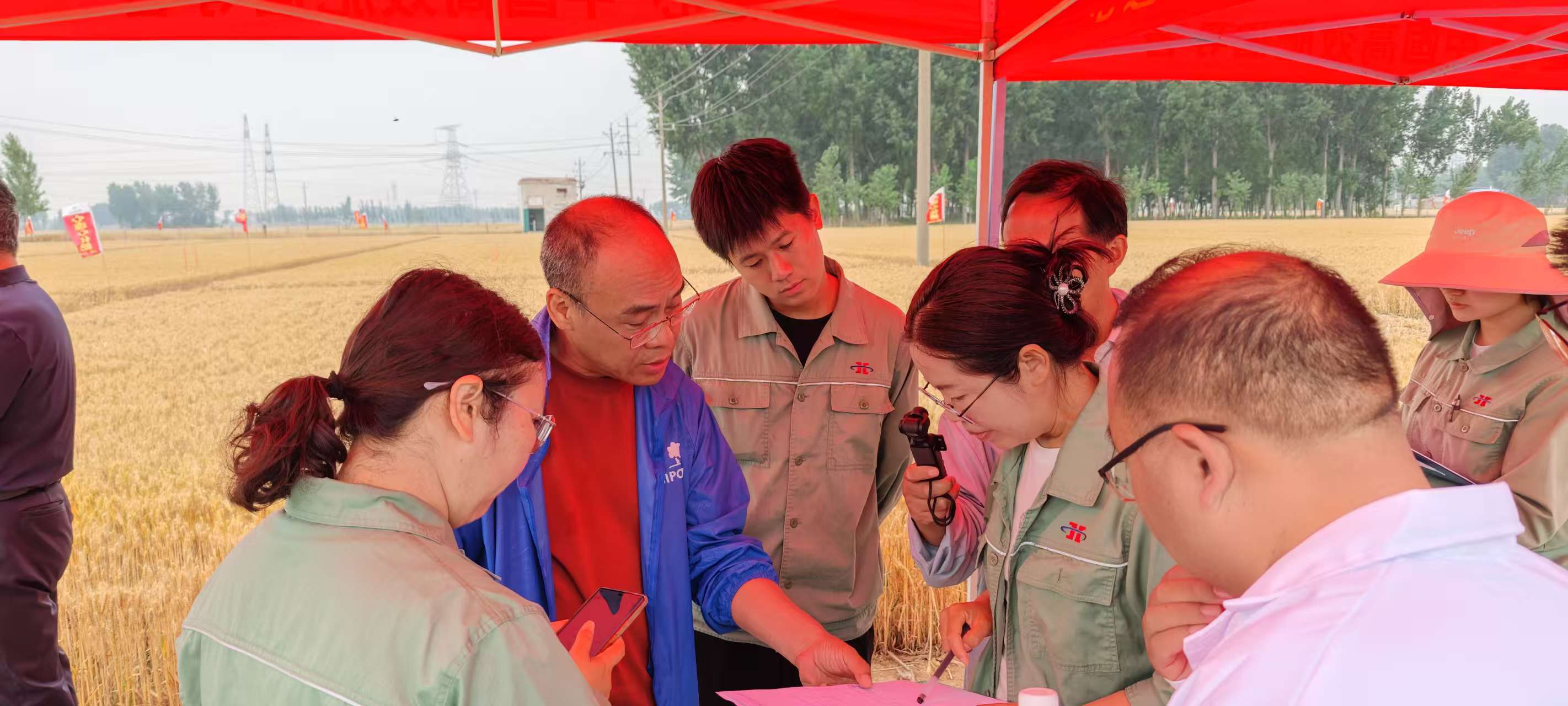 高溫旱情下科技賦能農(nóng)業(yè)!心連心集團(tuán)主持的兩個(gè)“十四五”課題交出亮眼成績(jī)單